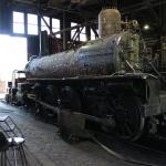 IMG_7891 (May 28, 2024)